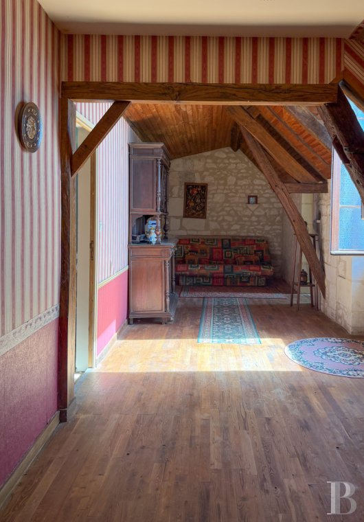 chateaux a vendre centre val de loire   - 7