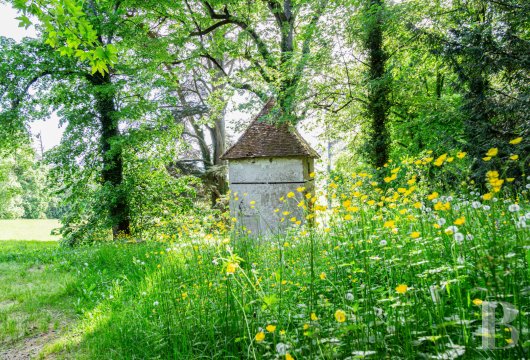 chateaux a vendre bourgogne   - 16