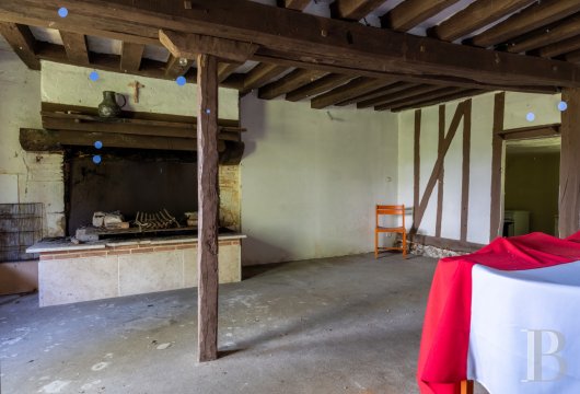 France estates center val de loire   - 4