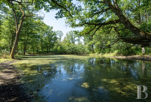 France estates center val de loire   - 11