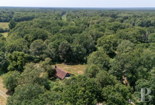 center-val-de-loire - Propriété forestière et territoire de chasse de 150 ha à proximité de Salbris, en Sologne