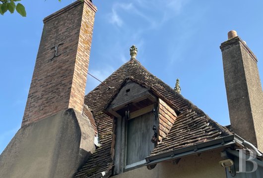 residences and character houses france pays de loire   - 5
