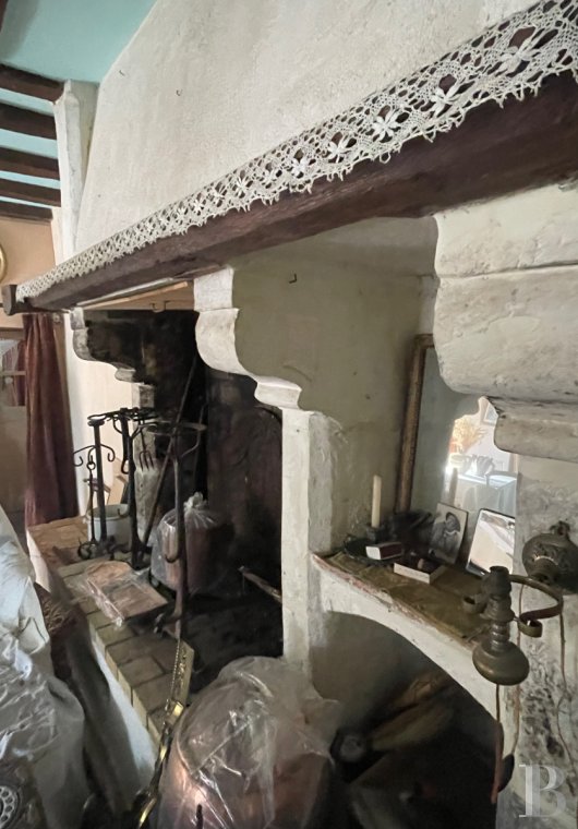 residences and character houses france pays de loire   - 8