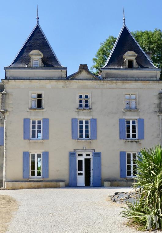 France mansions for sale poitou charentes   - 11