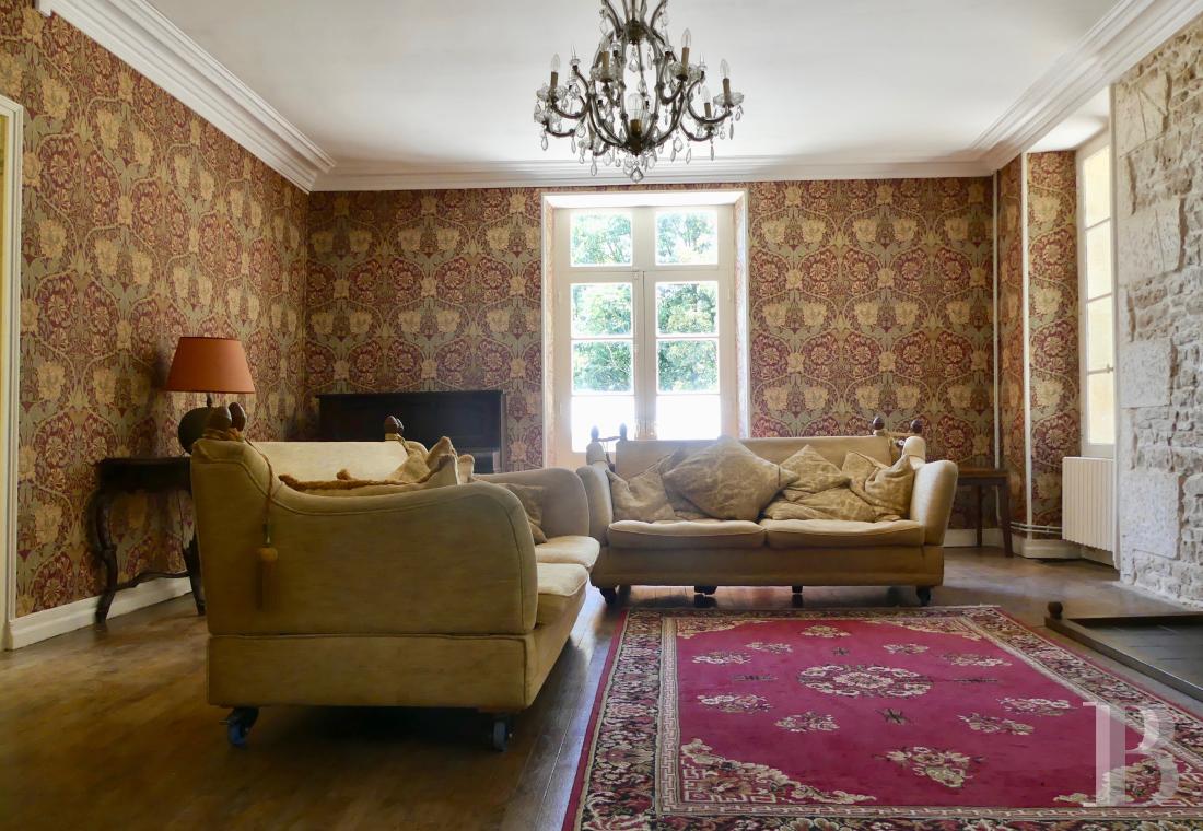 France mansions for sale poitou charentes   - 6