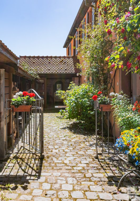 belles demeures alsace   - 6