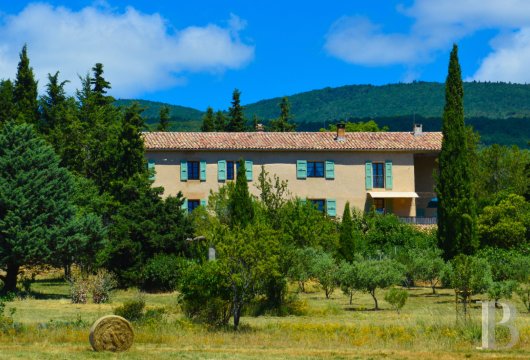provence-cote-dazur - Bastide du 18e s. avec oliveraie, source et bassin en pierre au pied de la montagne de Lure