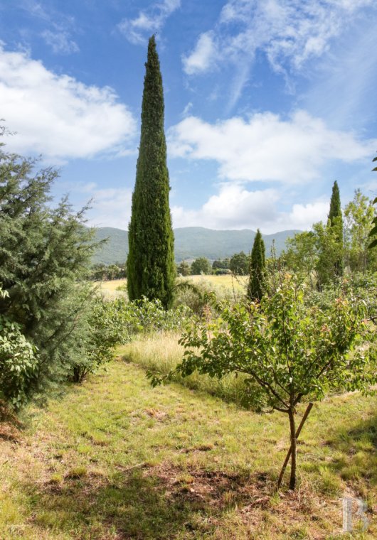 maisons de caractere a vendre paca   - 16
