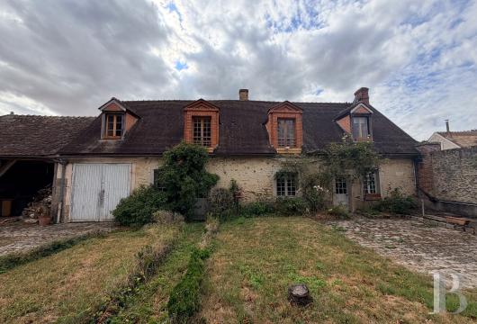 chateaux a vendre ile de france   - 18