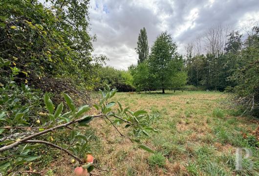 chateaux a vendre ile de france   - 17