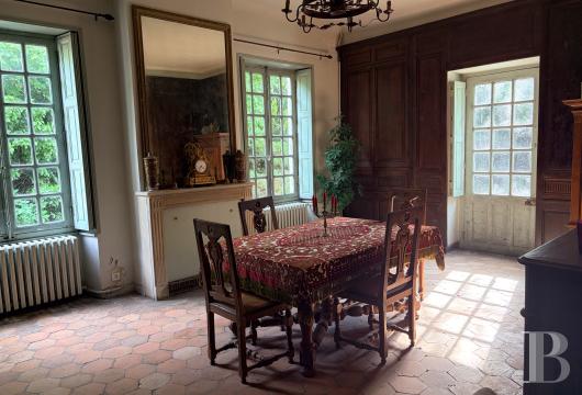 chateaux a vendre ile de france   - 5