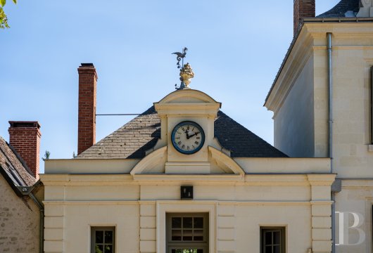 France mansions for sale center val de loire   - 6