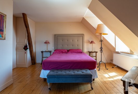 France mansions for sale center val de loire   - 12