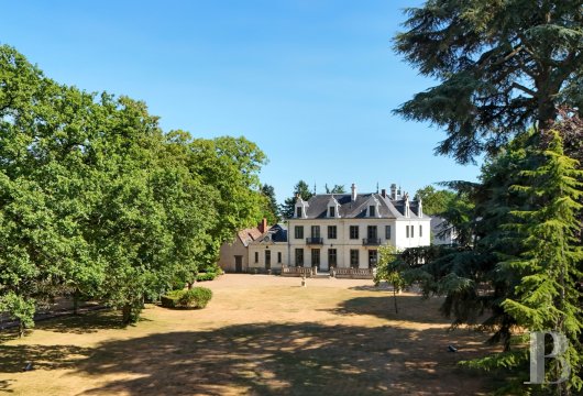 center-val-de-loire - On the outskirts of Tours, in nearly 3 ha grounds, with a pool and tennis court,  a 19th-century manor house and its outbuildings converted into three dwellings 