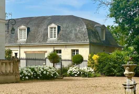 France mansions for sale center val de loire   - 14