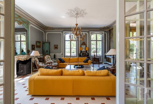France mansions for sale center val de loire   - 8
