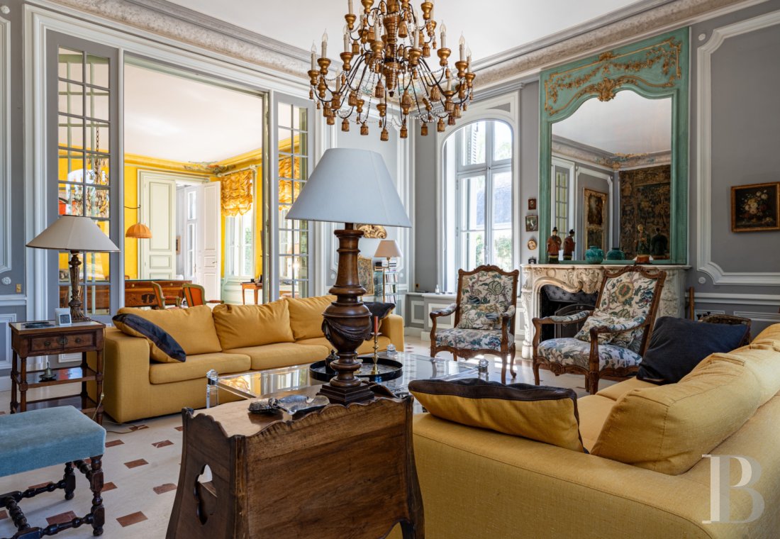 France mansions for sale center val de loire   - 7