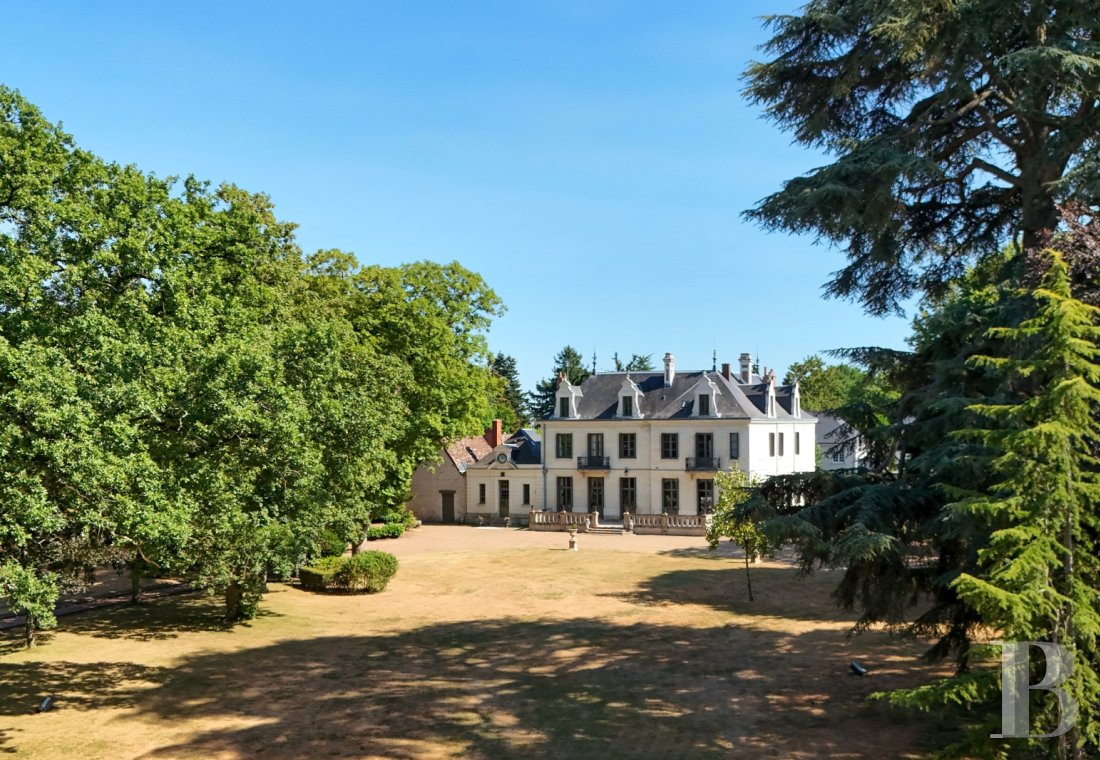 France mansions for sale center val de loire   - 1