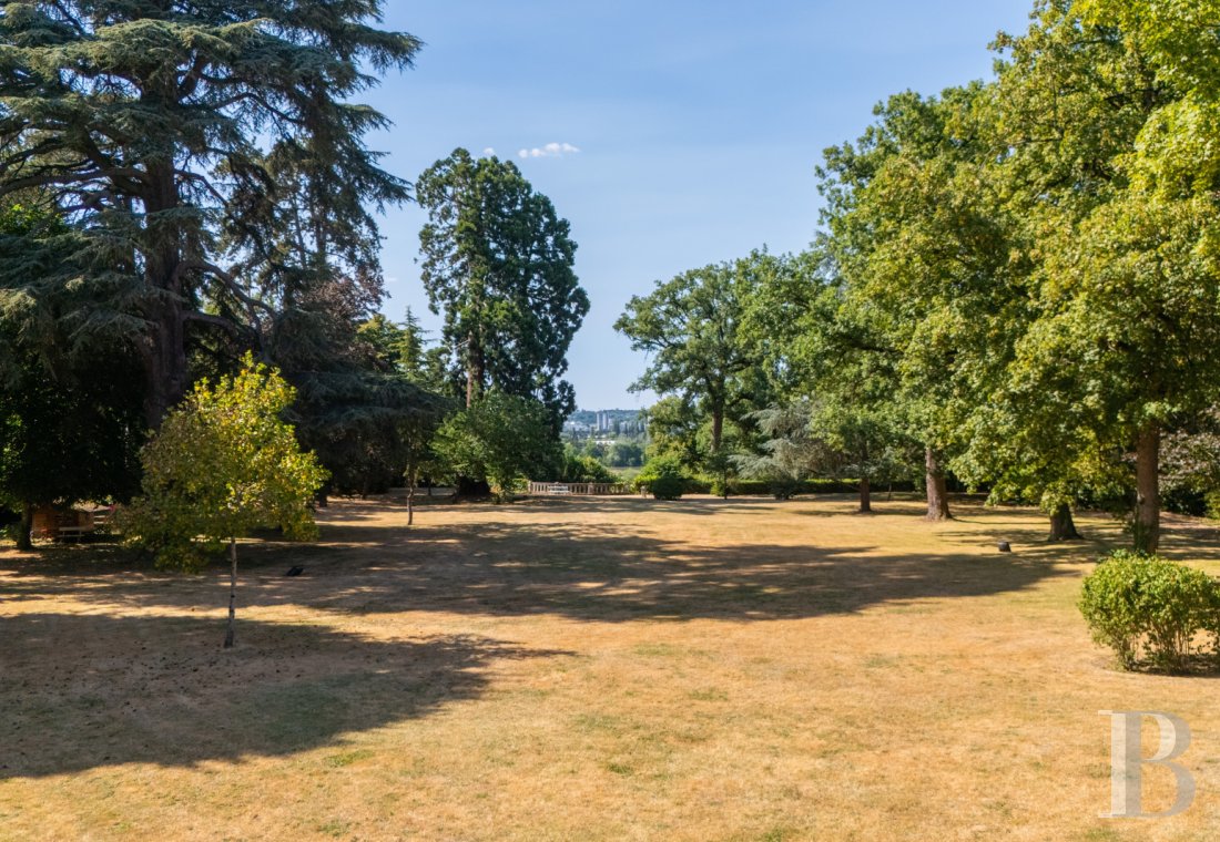 France mansions for sale center val de loire   - 18