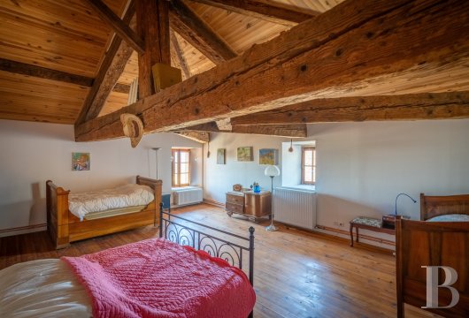 character properties France auvergne   - 9