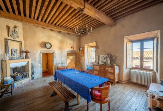 character properties France auvergne   - 6