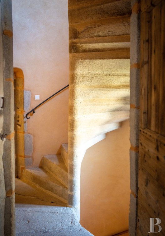 character properties France auvergne   - 8