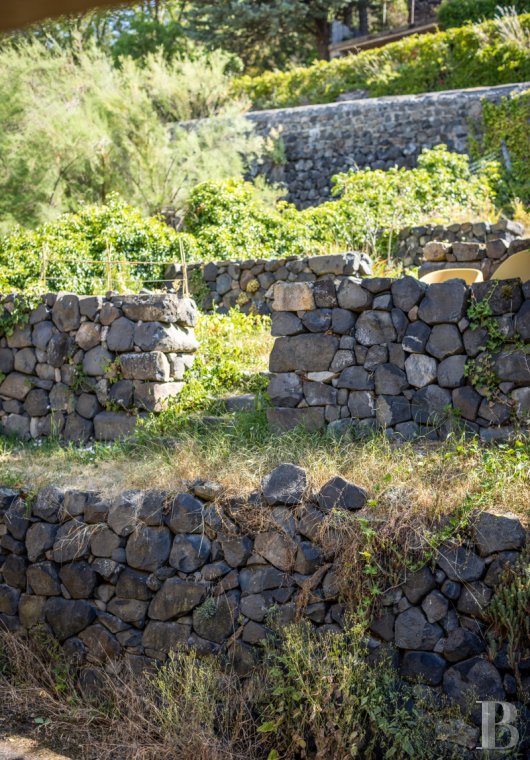 character properties France auvergne   - 10