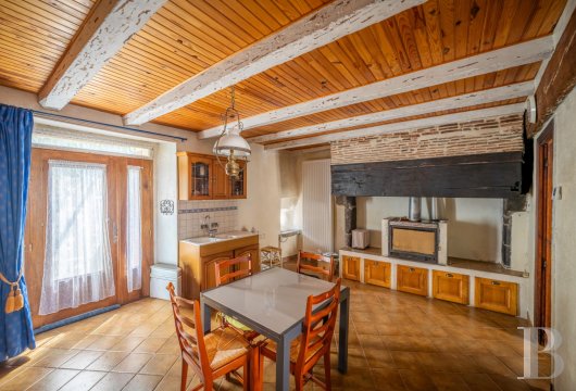 french village houses for sale auvergne   - 8