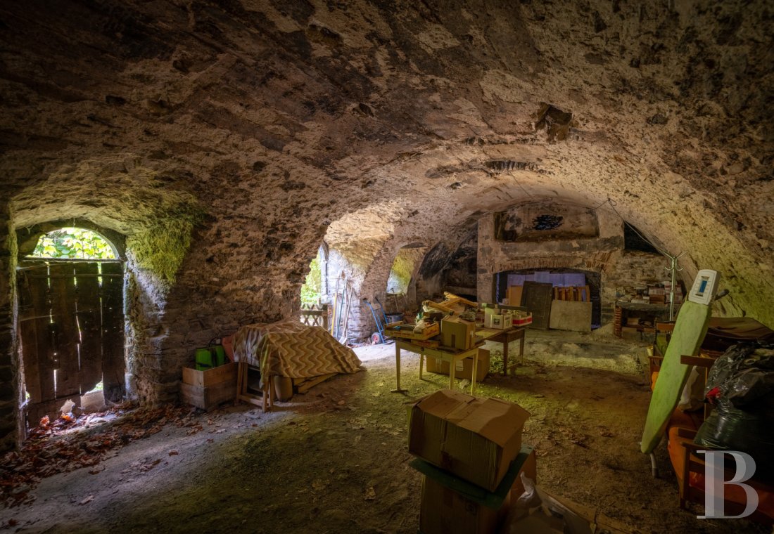 french village houses for sale auvergne   - 12