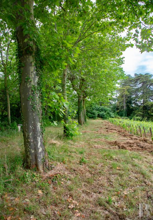 demeures et maisons a vendre france bourgogne   - 10