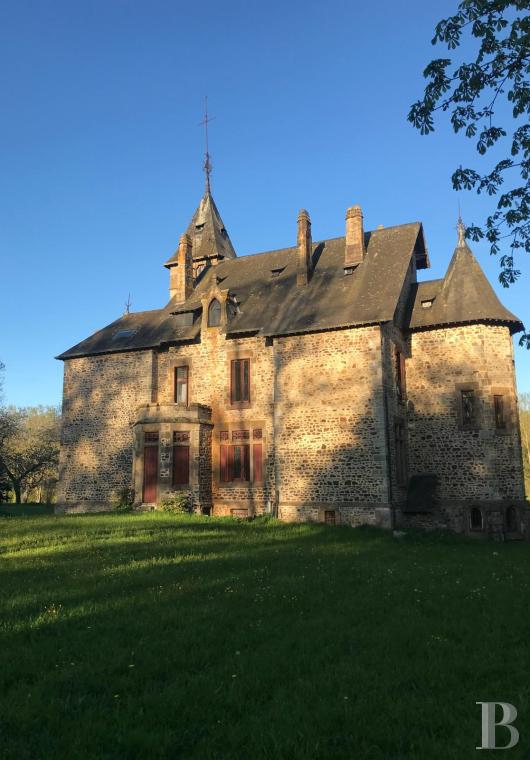 chateaux for sale France pays de loire   - 4
