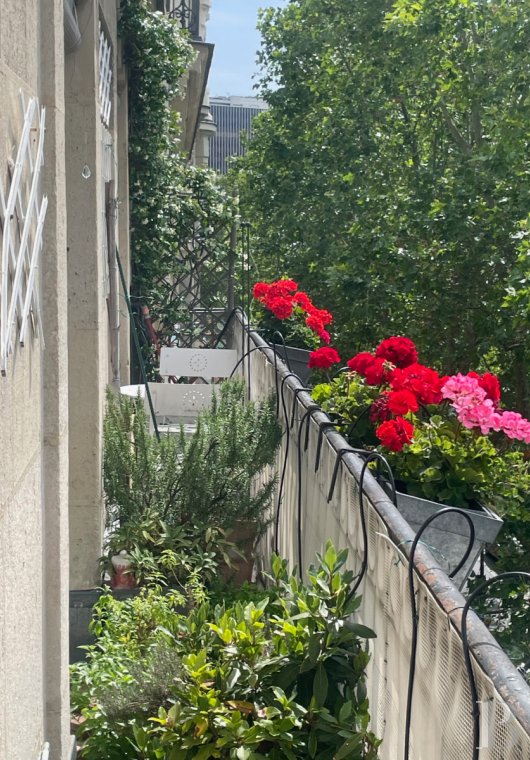 apartments for sale paris   - 7