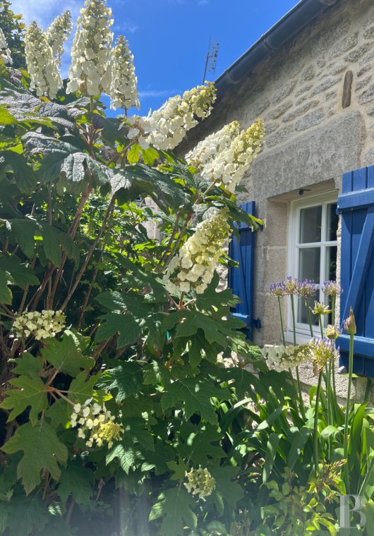 character properties France brittany   - 2