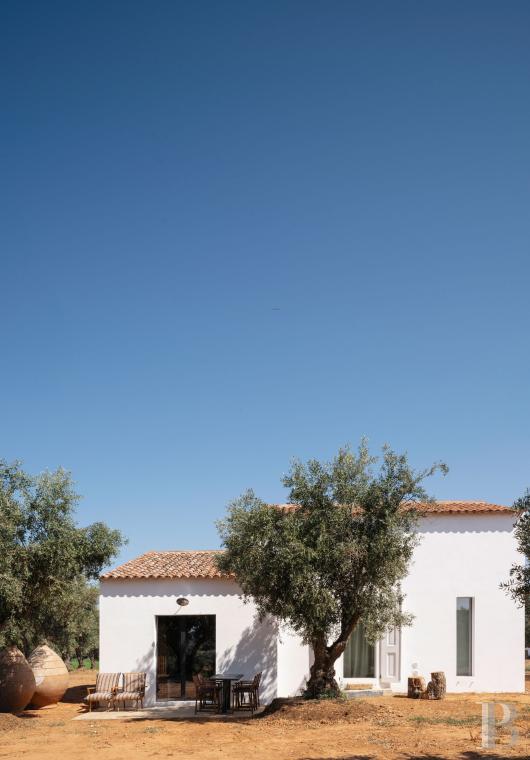 Dans l’Alentejo, deux maisons de famille au bord d’une rizière réhabilitées par un architecte  - photo  n°19