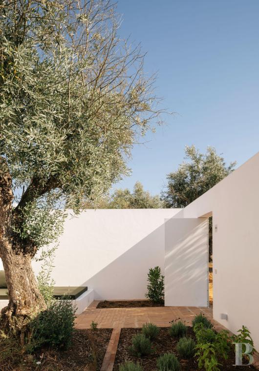 Dans l’Alentejo, deux maisons de famille au bord d’une rizière réhabilitées par un architecte  - photo  n°35