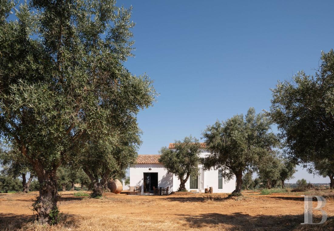 Dans l’Alentejo, deux maisons de famille au bord d’une rizière réhabilitées par un architecte  - photo  n°1
