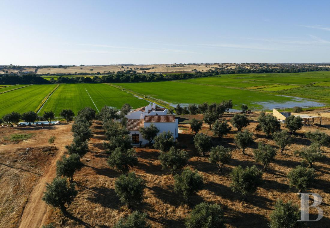 Dans l’Alentejo, deux maisons de famille au bord d’une rizière réhabilitées par un architecte  - photo  n°3