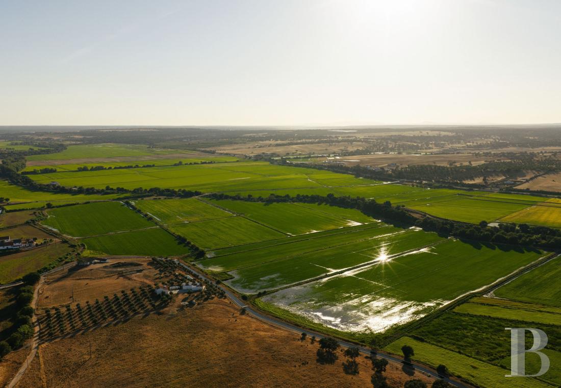 Dans l’Alentejo, deux maisons de famille au bord d’une rizière réhabilitées par un architecte  - photo  n°41