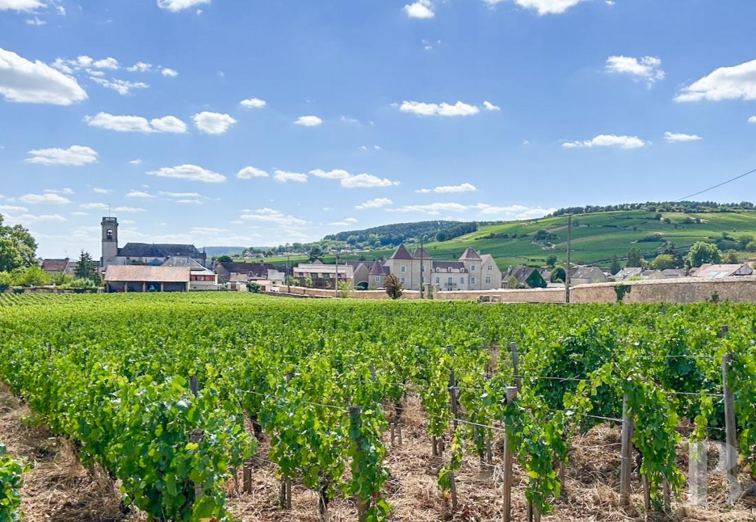 appartements a vendre bourgogne   - 13