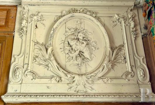 chateaux for sale France center val de loire   - 10