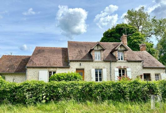 chateaux for sale France center val de loire   - 15