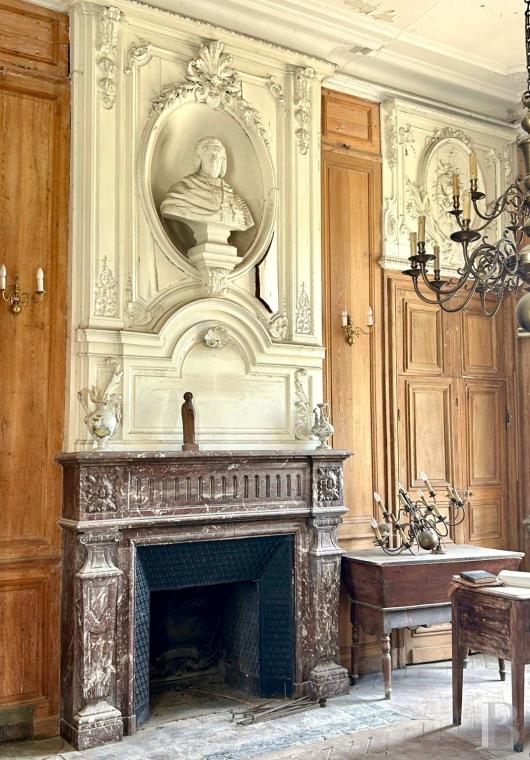 chateaux for sale France center val de loire   - 11