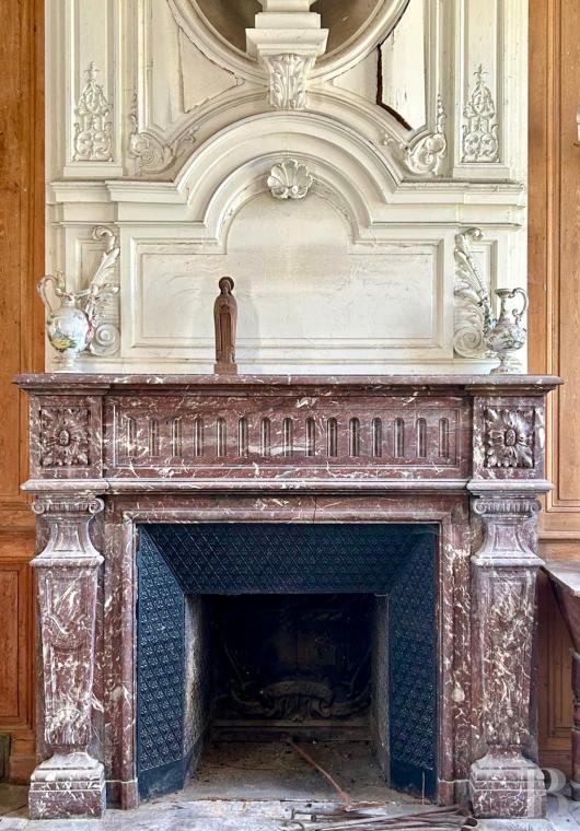 chateaux for sale France center val de loire   - 9