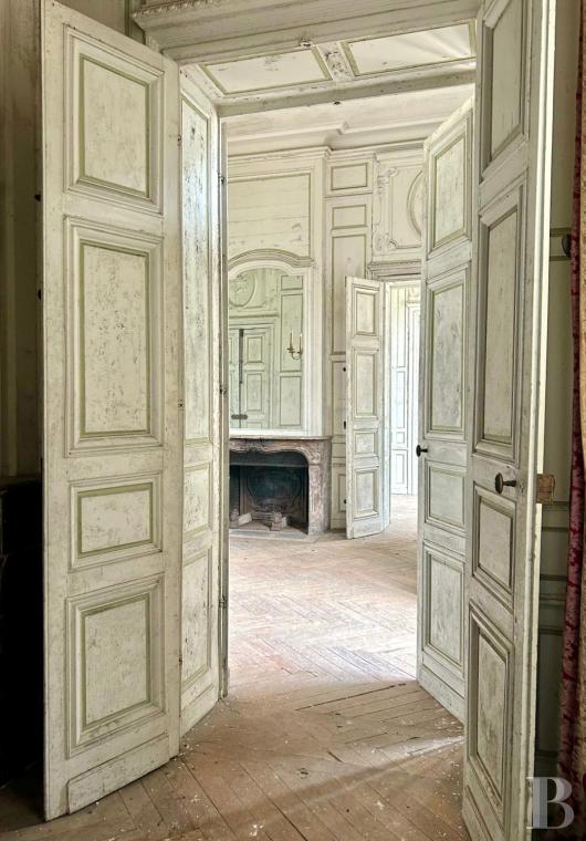 chateaux for sale France center val de loire   - 6
