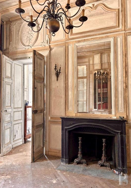 chateaux for sale France center val de loire   - 4