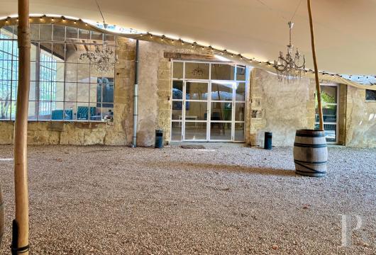 chateaux for sale France languedoc roussillon   - 20