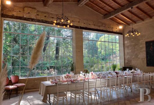 chateaux for sale France languedoc roussillon   - 23