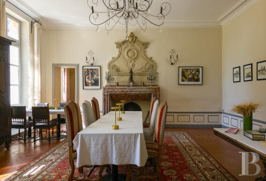 chateaux for sale France languedoc roussillon   - 9