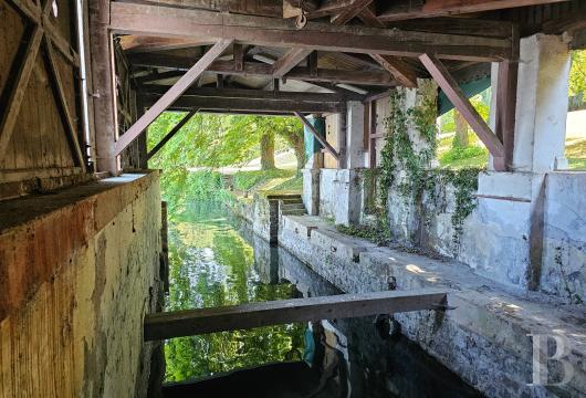 mansion houses for sale France rhones alps   - 12