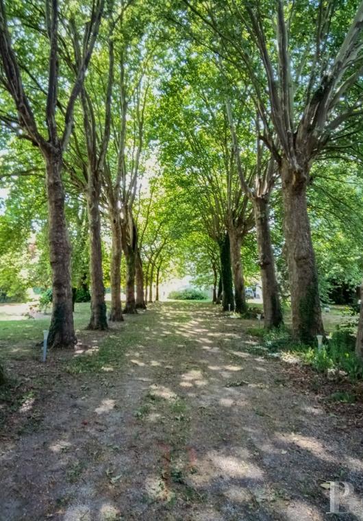 chateaux a vendre nord pas de calais   - 12